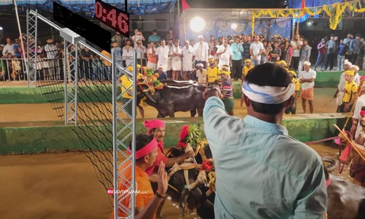 Kambala ಓಟಕ್ಕೆ ಹೈಟೆಕ್ ಸ್ಪರ್ಶ; ಗೇಟ್ ತೆರೆದ ಕೂಡಲೇ ಓಟ ಶುರು; ಇಲ್ಲಿದೆ ಸಮಗ್ರ ಮಾಹಿತಿ