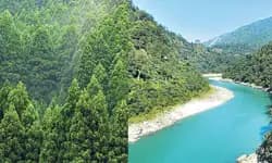 2024 ಹೊಸ ದಿನಚರಿಗೆ ಹಸುರು ಅಧ್ಯಾಯಗಳು