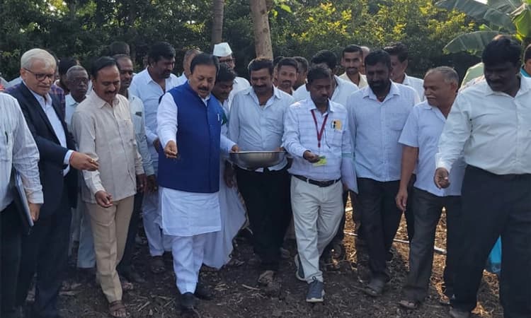 Central Govt ಮಂಜೂರಾತಿ ದೊರೆತ ನಂತರ ಬರ ಪರಿಹಾರ ವಿತರಣೆ:ಚಲುವರಾಯಸ್ವಾಮಿ