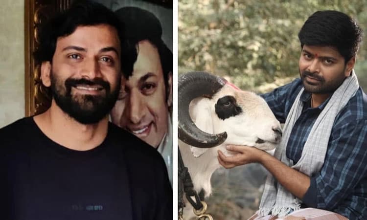 Tagaru Palya: ಅನೌನ್ಸ್‌ ಆಗಿ 4 ದಿನ ಕಳೆದರೂ ಓಟಿಟಿಗೆ ಬಂದಿಲ್ಲ ʼಟಗರು ಪಲ್ಯʼ: ಆಗಿರೋದೇನು?