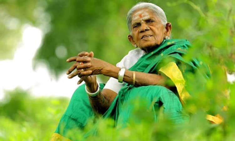 Desi Swara: ಹುಲಿಕಲ್ಲಿನ ಸಾಲುಮರದ ತಿಮ್ಮಕ್ಕನಿಗೆ ಹ್ಯಾಲಿಫಾಕ್ಸ್‌ನಲ್ಲಿ ಗೌರವ!