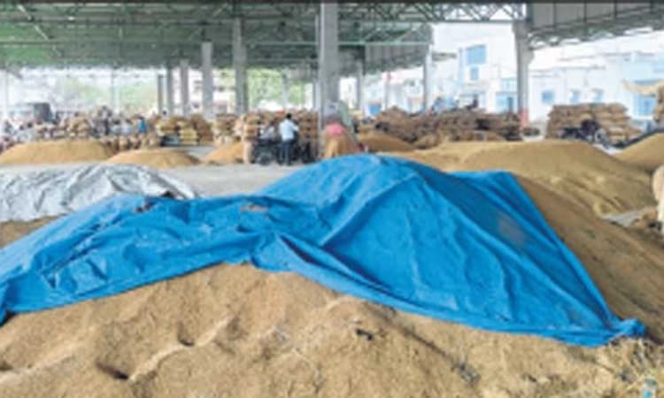 Raichur: ಗಗನೆಕ್ಕೇರಿದ ಭತ್ತದ ಬೆಲೆ- ಅಕ್ಕಿ ಬೆಲೆಯೂ ತುಟ್ಟಿ ಖಚಿತ