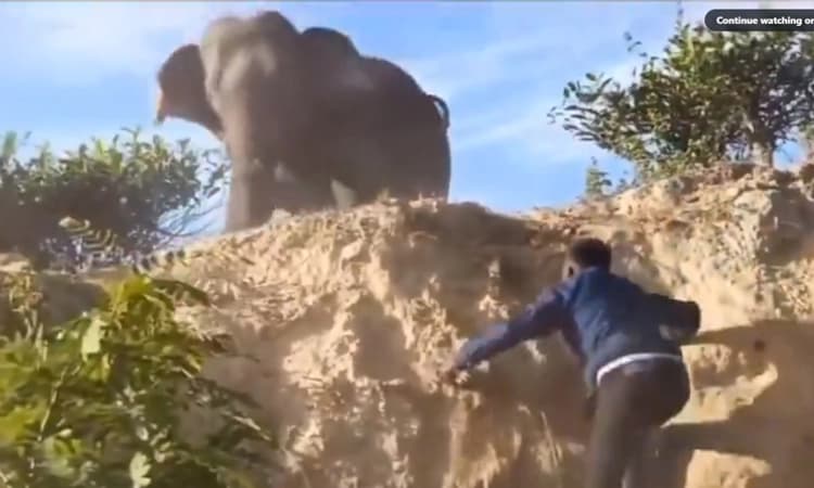 Video: ಕಾಡಾನೆ ಜೊತೆ ಯುವಕರ ಹುಚ್ಚಾಟ… ಭಯ ಹುಟ್ಟಿಸುವ ವಿಡಿಯೋ ವೈರಲ್