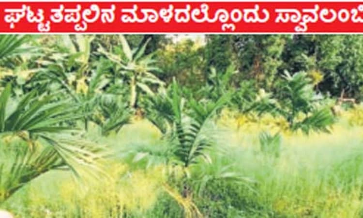 Karkala: ಹೊಟ್ಟೆ ತಣಿಸಲು ತರಕಾರಿ ಊಟ, ಆದಾಯಕ್ಕೆ ಕೃಷಿ ತೋಟ