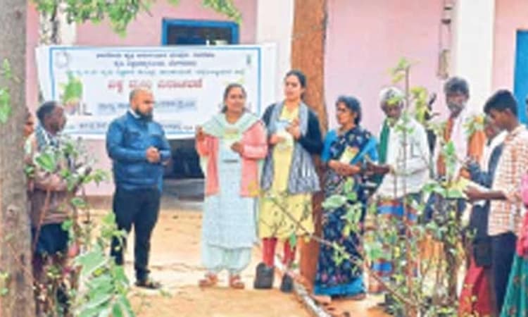 ಸಾವಯವ ಗೊಬ್ಬರ ಬಳಕೆಗೆ ಮುಂದಾಗಿ: ಡಾ.ಕೆ.ಸಂಧ್ಯಾ