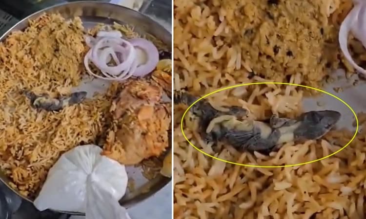 Video: ಬಿರಿಯಾನಿ ತಿನ್ನುವ ಎಂದು ಆರ್ಡರ್ ಮಾಡಿದರೆ ಬಿರಿಯಾನಿ ಜೊತೆ ಸತ್ತ ಹಲ್ಲಿ ಕೂಡ ಬಂದಿದೆ