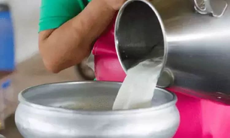 Milk Union: ಹಾಲು ಉತ್ಪಾದಕರಿಗೆ ದರ ಕಡಿತದ ಬರೆ!