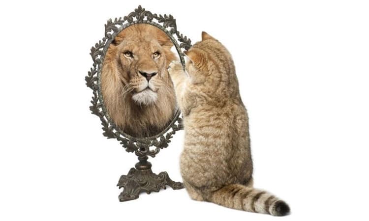 Confidence: ಆತ್ಮವಿಶ್ವಾಸವೇ ಯಶಸ್ಸಿನ ಮೆಟ್ಟಿಲು