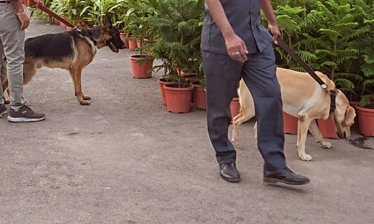 Hubli; ಬಾಂಬ್ ಬೆದರಿಕೆ ಹಾಕಿದವರ ಮೇಲೆ ಗುಂಡು ಹಾರಿಸಿ: ಸೈಯದ್ ತಾಜಾವುದ್ದೀನ್ ಖಾದ್ರಿ