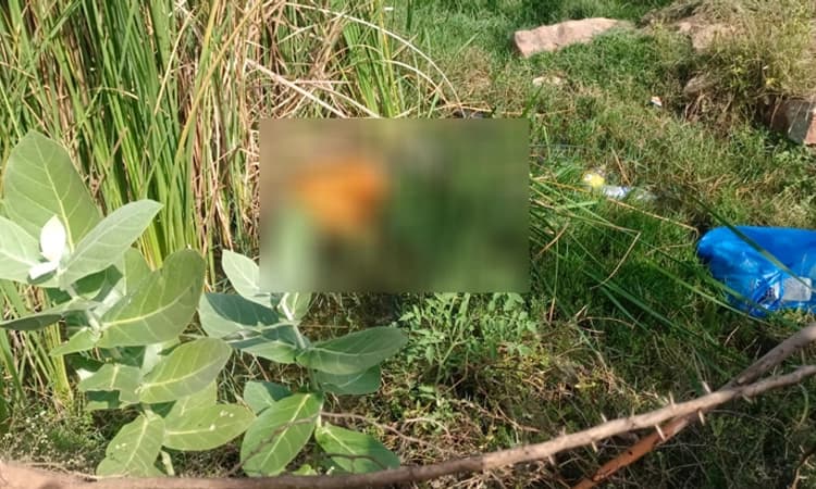 Muddebihala: 3-4 ದಿನಗಳಿಂದ ನಾಪತ್ತೆಯಾಗಿದ್ದ ವ್ಯಕ್ತಿಯ ಶವ ಕೊಳೆತ ಸ್ಥಿತಿಯಲ್ಲಿ ಪತ್ತೆ