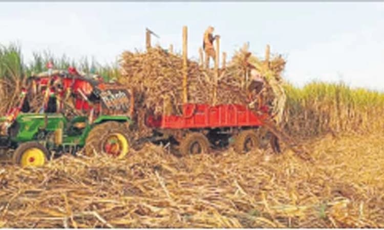 Bagalkote: 22 ಟನ್‌ ಕಬ್ಬು ಹೇರಿ ಸಾಧನೆಗೈದ ಮುತ್ತಪ್ಪ!