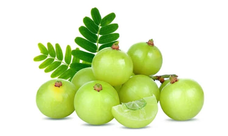 Gooseberry Benefits: ನೆಲ್ಲಿಕಾಯಿ ಸೇವನೆಯಿಂದ ಆರೋಗ್ಯಕ್ಕೆ ಹಲವು ಪ್ರಯೋಜನವಿದೆ&#8230;