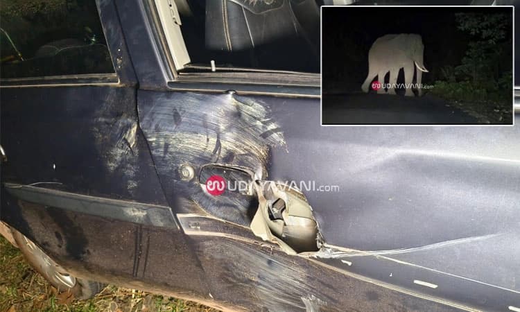 Belthangady: ನೆರಿಯ ಬಯಲು ಎಂಬಲ್ಲಿ ಕಾರಿನ ಮೇಲೆ ಎರಗಿದ ಒಂಟಿ ಸಲಗ