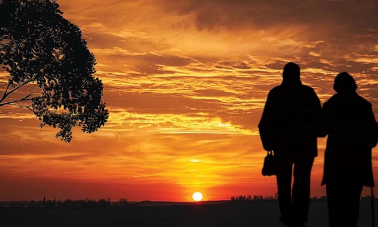 Retirement: ವೃತ್ತಿ ನಿವೃತ್ತಿ ವ್ಯಕ್ತಿಯಲ್ಲಿ ಖಿನ್ನತೆಗೆ ಕಾರಣವಾಗುವುದೇ? ಇಲ್ಲಿದೆ ಮಾಹಿತಿ