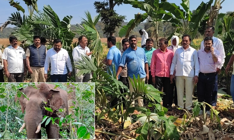 Anandpur: ಮುಂದುವರೆದ ಕಾಡಾನೆಗಳ ದಾಳಿ… ಇಲಾಖೆ ವಿರುದ್ಧ ರೈತರ ಆಕ್ರೋಶ