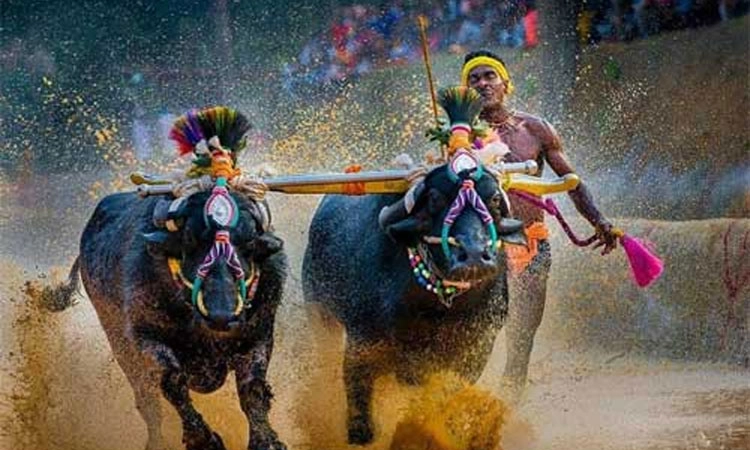 Moodbidri: ಜಿಲ್ಲಾ ಕಂಬಳ ಸಮಿತಿ ತುರ್ತು ಸಭೆ: ನಿಯಮ ಉಲ್ಲಂಘಿಸಿದರೆ ನಿಷೇಧ