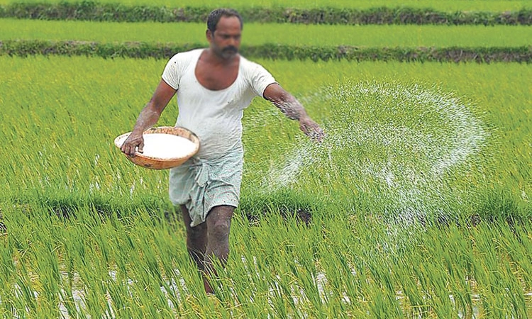 PM Modi: ಹೊಸ ವರ್ಷಕ್ಕೆ ರೈತರಿಗೆ ಕೇಂದ್ರ ಬಂಪರ್‌ ಗಿಫ್ಟ್