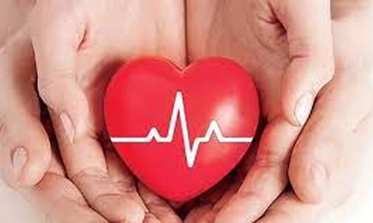 ಗೋಲ್ಡನ್‌ ಅವರ್‌ನಲ್ಲಿ ಸಕಾಲಿಕ ಚಿಕಿತ್ಸೆ,ಇಂಜೆಕ್ಷನ್ ನೀಡುವುದರಿಂದ ಜೀವ ಉಳಿಸುವಲ್ಲಿ ಯಶಸ್ವಿ