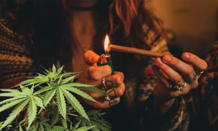 Udupi: ಗಾಂಜಾ ಸೇವನೆ; ಓರ್ವ ವಶಕ್ಕೆ