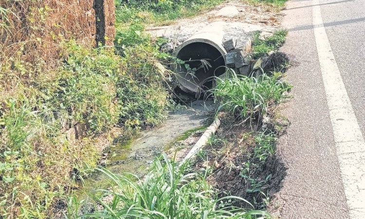 Belman ಪೇಟೆಯಲ್ಲಿ ಬಾಯ್ದೆರೆದ ಚರಂಡಿಗಳು!