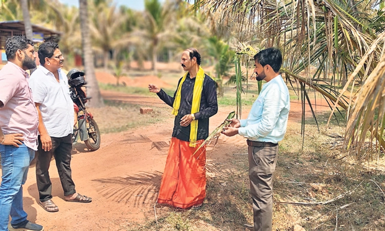 ಕನ್ನಡಕುದ್ರು: ತೆಂಗಿನ ಮರಗಳಿಗೆ ಕೀಟ ಬಾಧೆ: ಕೃಷಿ ವಿಜ್ಞಾನಿಗಳ ತಂಡ ಭೇಟಿ; ಪರಿಶೀಲನೆ