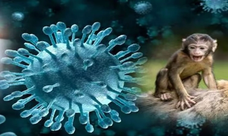 ಶಿವಮೊಗ್ಗ: ಮಂಗನ ಕಾಯಿಲೆಗೆ ಏಳು ವರ್ಷದ ಬಾಲಕಿ ಸಾವು