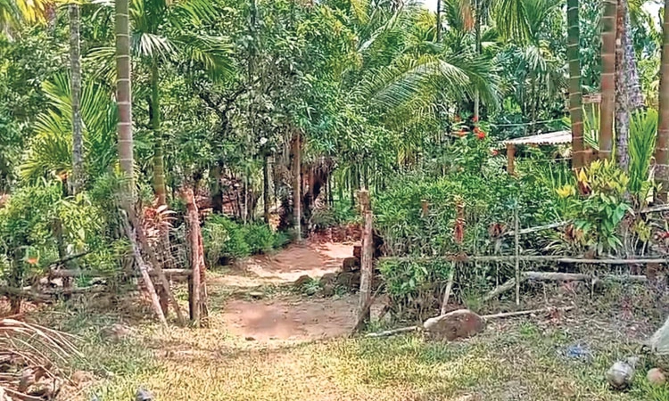 ಕರಾವಳಿ ಆನೆ ಕಾರಿಡಾರ್‌ ಈಗ ನಕ್ಸಲ್‌ ಕಾರಿಡಾರ್‌!