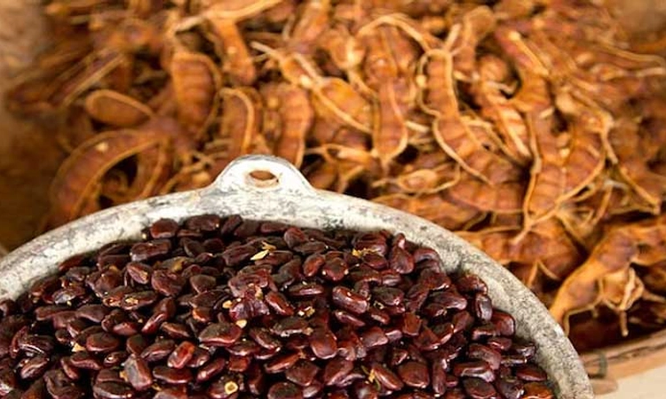 ಕುಷ್ಟಗಿ: ಹುಣಸೆ ಬೀಜಕ್ಕೆ ಯೋಗ್ಯ ದರವಿದ್ರೂ, ಉತ್ಪನ್ನ ಕಡಿಮೆ!