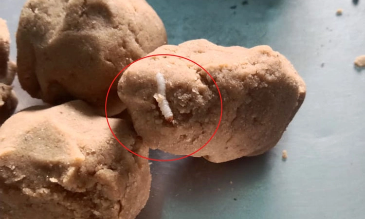 Thirthahalli ಅಂಗನವಾಡಿ ಮಿಲೆಟ್ ಲಡ್ಡು ಮಿಶ್ರಣದಲ್ಲಿ ಹುಳು ಪ್ರತ್ಯಕ್ಷ !