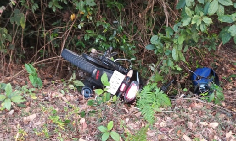 Devaramane; ಕಾಡಾನೆ ದಾಳಿ: ಕೂದಲೆಳೆ ಅಂತರದಲ್ಲಿ ಪ್ರವಾಸಿಗರು ಪಾರು