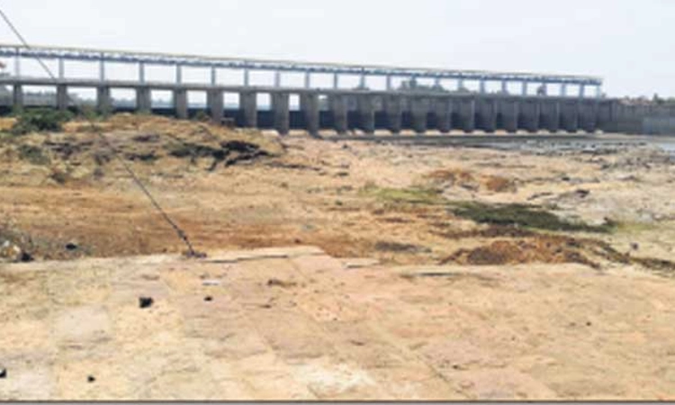 ಬಾಗಲಕೋಟೆ: ಬರಿದಾಗುತ್ತಿದೆ ಕೃಷ್ಣೆ; ಭೀಕರ ಬರದ ಆತಂಕ