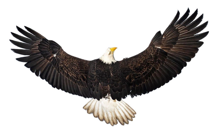 UV Fusion: ಹದ್ದು ಮೀರದೆ ಹದ್ದಿನಂತಾಗೋಣ