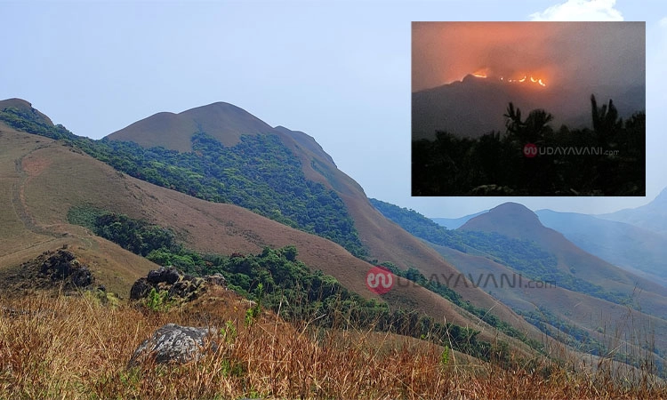 Kudremukha ರಾಷ್ಟ್ರೀಯ ಉದ್ಯಾನವನ ಧಗಧಗ; ಅಗ್ನಿವಶದೊಳು ಅರಣ್ಯ ಸಂಪತ್ತು, ಪ್ರಾಣಿಸಂಕುಲ