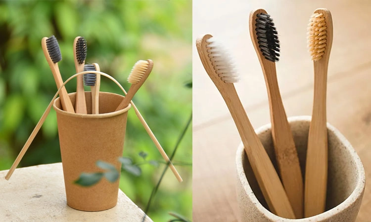 Bamboo:ಶುದ್ಧ ಮತ್ತು ಹಸುರು ಪರಿಸರ ಕಾಯ್ದುಕೊಳ್ಳಲು ಹಲ್ಲುಜ್ಜುವ ಬಿದಿರಿನಬ್ರಶ್‌ ಮೊರೆಹೋಗಿ