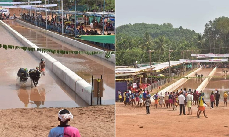 Bantwal: ಹೊಕ್ಕಾಡಿಗೋಳಿ ಅಕ್ಕಪಕ್ಕ ಎರಡು ಕಂಬಳ!