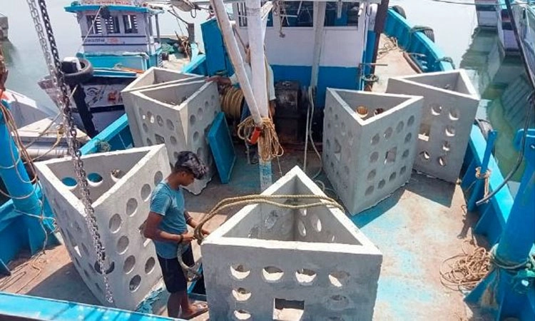 ಮೀನಿನ ಸಂತತಿ ವೃದ್ಧಿಗೆ “ಕೃತಕ ಬಂಡೆ’ ಸಾಲು ಯೋಜನೆ; ರಾಜ್ಯದ ಕರಾವಳಿಯಲ್ಲಿ ಪ್ರಥಮ ಪ್ರಯತ್ನ