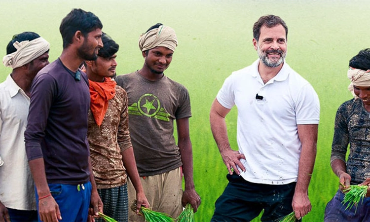Lok Sabha Elections; ರೈತರಿಗೆ ಕಾಂಗ್ರೆಸ್‌ ಪಂಚ ಗ್ಯಾರಂಟಿ