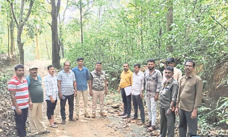 Belthangady: ಕಾನನ ವಾಸಿಗಳಿಗೆ ಮೆಸ್ಕಾಂ ಬೆಳಕು!