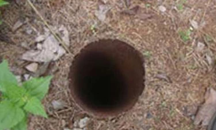 Karnataka: ಕೊಳವೆ ಬಾವಿ ಮುಚ್ಚದಿದ್ದರೆ 1 ವರ್ಷ ಜೈಲು ಶಿಕ್ಷೆ