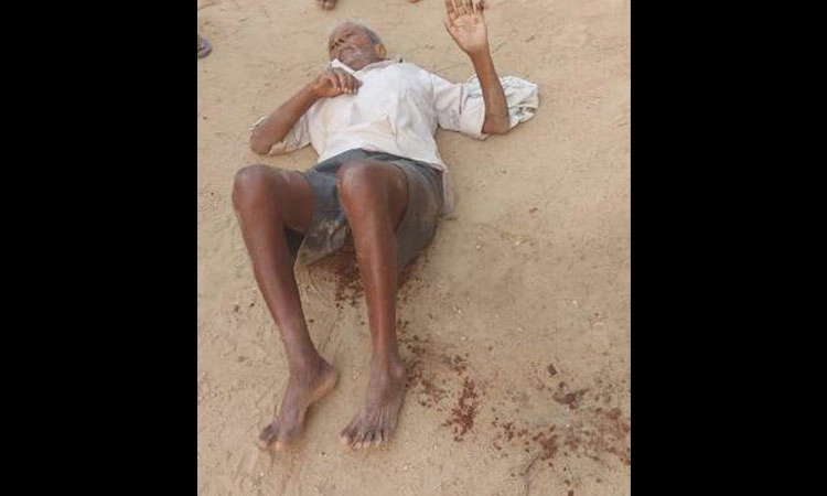 ಪತ್ತೆ ಆಗದ ಕರಡಿ; 6 ಮಂದಿ ಮೇಲೆ ದಾಳಿ?