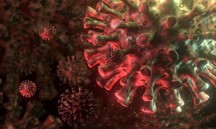 ಕೋವಿಡ್ ಮುನ್ನೆಚ್ಚರಿಕೆ: ದ.ಕನ್ನಡ ಜಿಲ್ಲೆಯಲ್ಲಿ ಜಾತ್ರೆ, ಸಭೆ, ಹಬ್ಬ ಆಚರಣೆ ಮಾಡುವಂತಿಲ್ಲ!