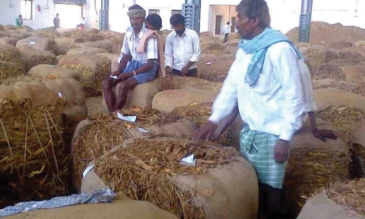 ತಂಬಾಕು ಮಾರುಕಟ್ಟೆ ವಹಿವಾಟು ಮುಕ್ತಾಯ