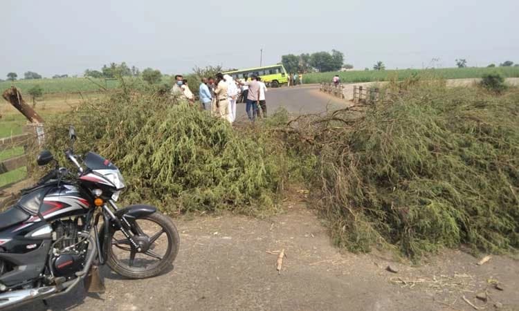 ಹೆಚ್ಚುತ್ತಿವೆ ಚೆಕ್‌ಪೋಸ್ಟ್‌