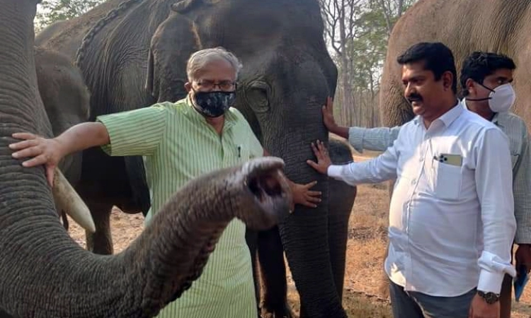 ಸಾಕಾನೆಗಳಿಗೆ ಆಹಾರ ಉಣಿಸಿದ ಸಚಿವ ಸುರೇಶ್‌ಕುಮಾರ್
