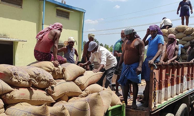 ರೈತರಿಗಾಗಿ ಕಾಯುತ್ತಿರುವ ರಾಗಿ ಖರೀದಿ ಸಿಬ್ಬಂದಿ!