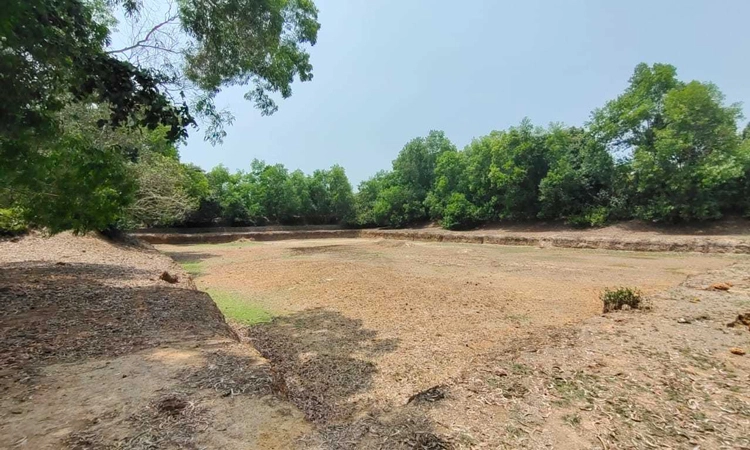 ಚಾರುಕೊಟ್ಟಿಗೆ: ಸಂಪೂರ್ಣ ಬತ್ತಿ ಹೋದ ಕುರುವಾಡಿ ಮದಗ