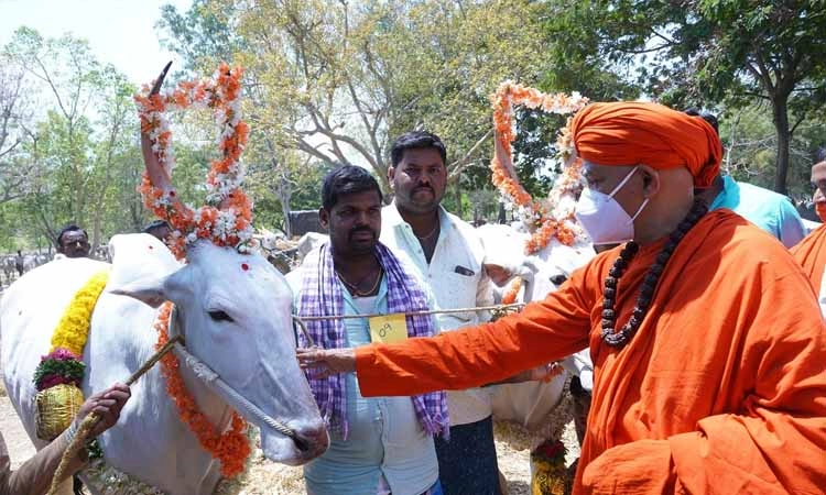 ದನಗಳ ಜಾತ್ರೆಯಲ್ಲಿ ಜನಗಳ ಸಂಖ್ಯೆಯೇ ಹೆಚ್ಚು