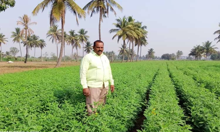 ಮಹಾದೇವಗೆ ರಾಜ್ಯಮಟ್ಟದ “ಕೃಷಿ ಪಂಡಿತ’ ಪ್ರಶಸ್ತಿಯ ಗರಿ