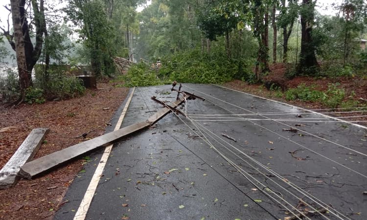 ಅಂಡಾರು: ಭಾರೀ ಬಿರುಗಾಳಿ; ಜನಜೀವನ ಅಸ್ತವ್ಯಸ್ತ