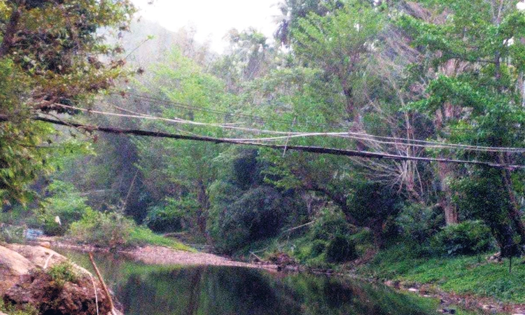 ಮಳೆಗಾಲ ಹೊಳೆ ದಾಟಲು ಅಡಿಕೆ ಮರದ ಪಾಲವೇ ಗತಿ